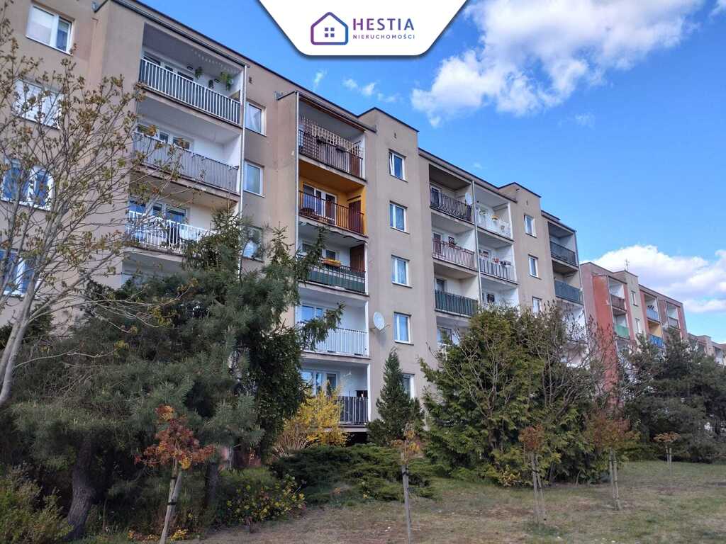 3 pokoje przy parku i jeziorze - wprowadź się! (15)