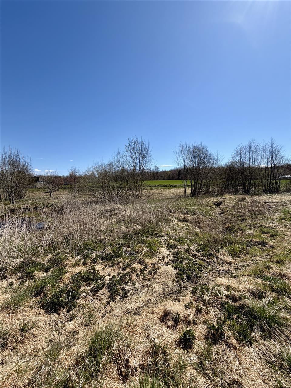 Dom do remontu | Wiekowice | gm. Darłowo | działka (8)