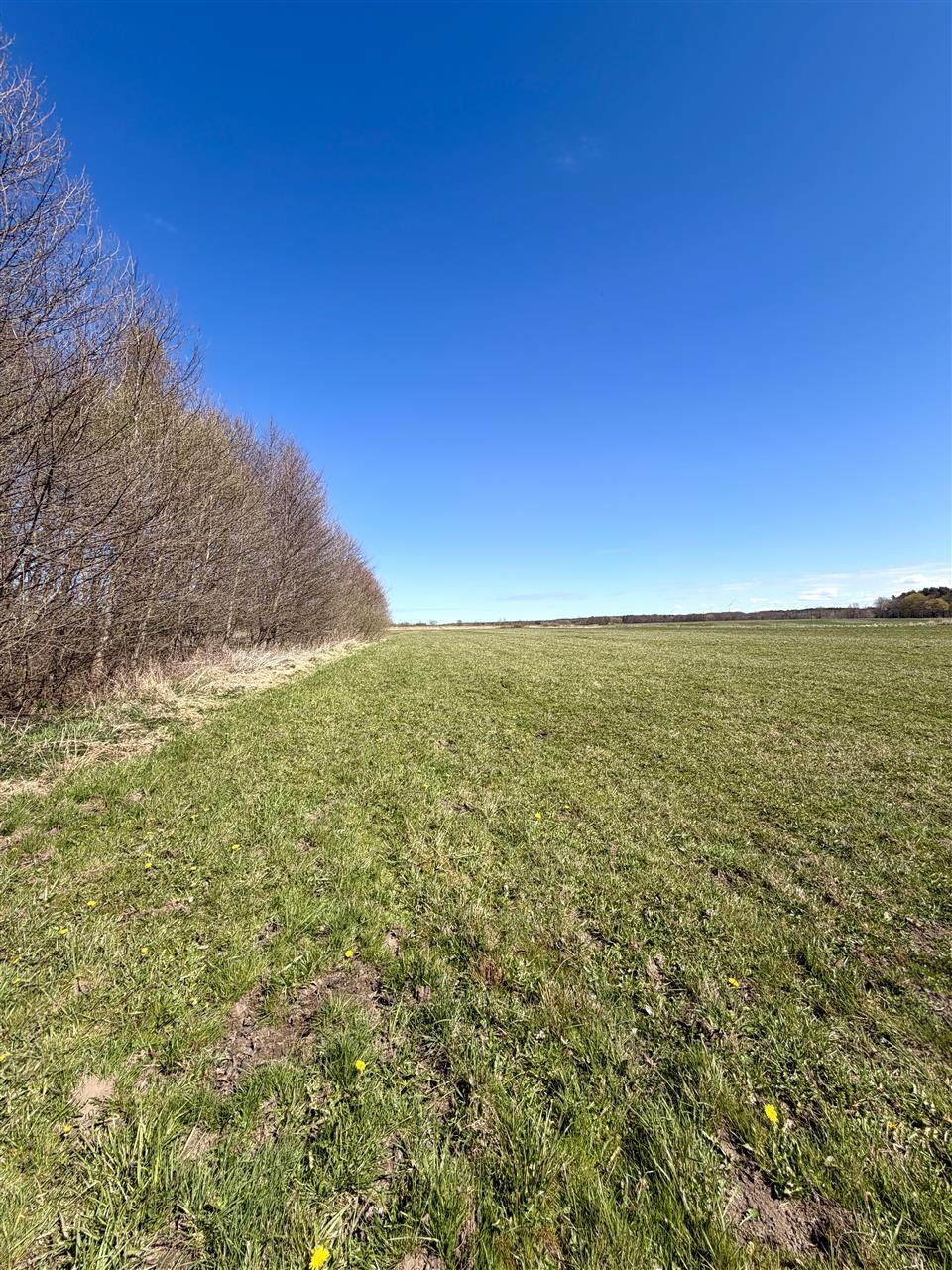 Działka Darłowo 1,36 ha (1)