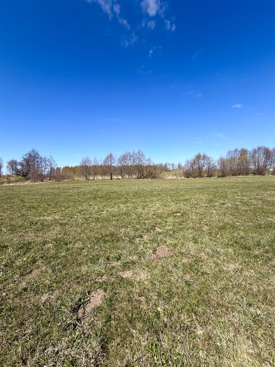 Działka Darłowo 1,36 ha (4)