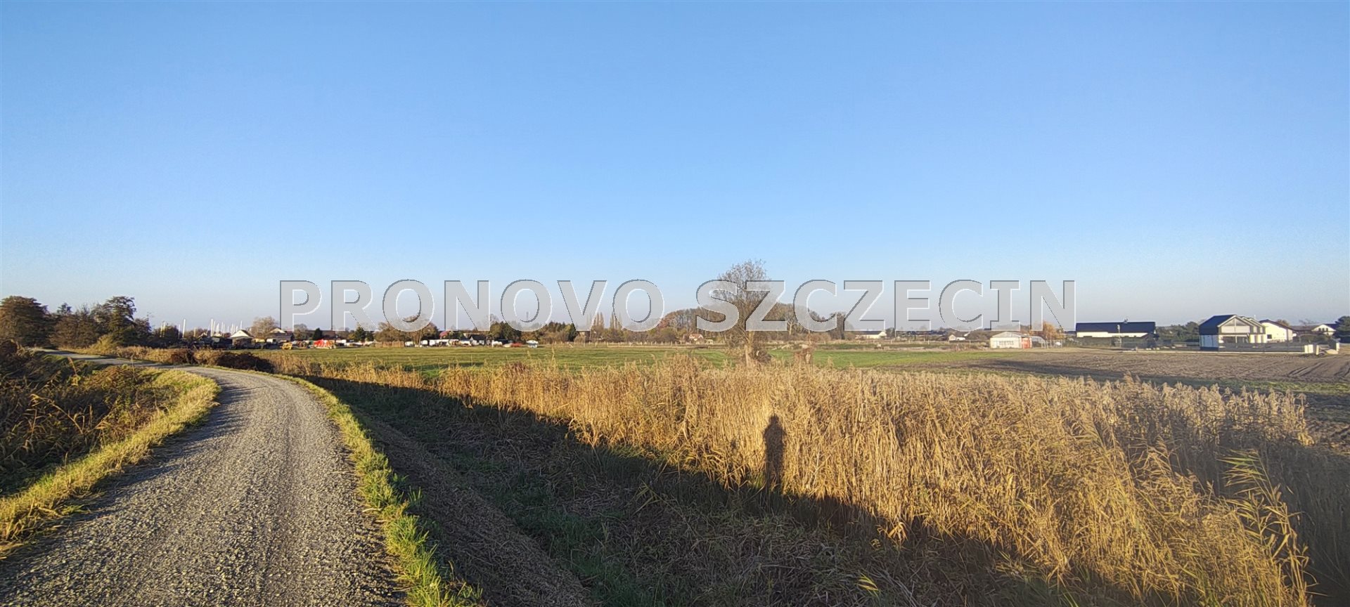 Lubczyna, działka nad Jeziorem Dąbie sprzedaż (10)