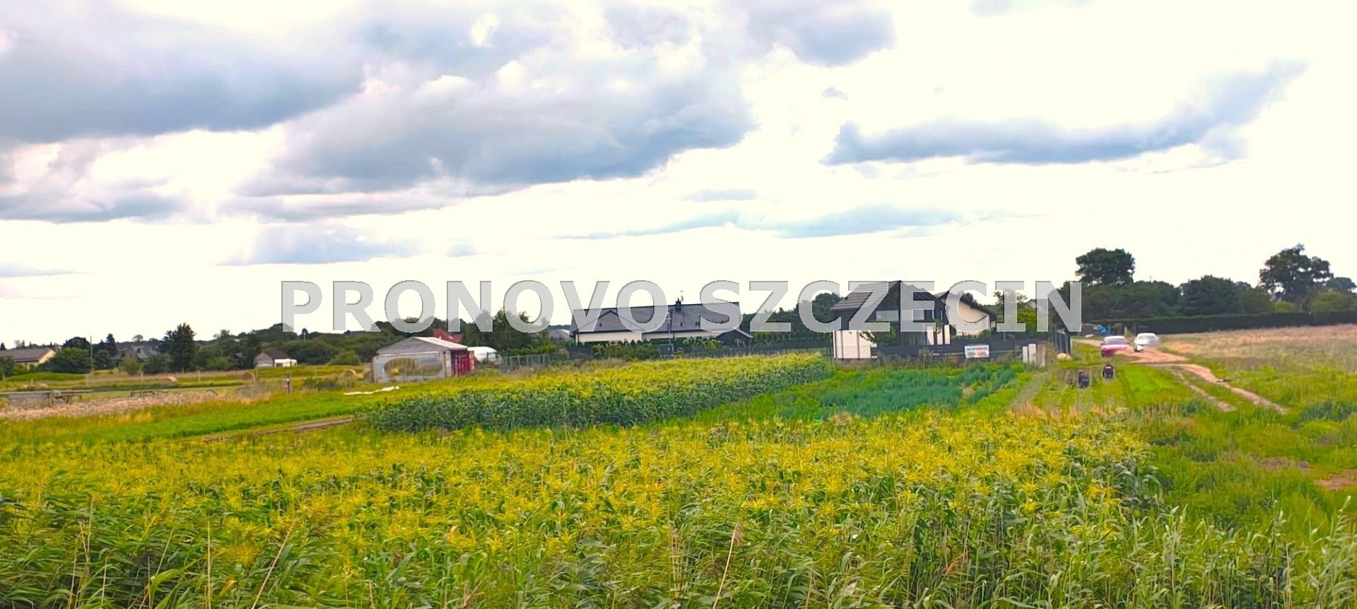 Lubczyna, działka nad Jeziorem Dąbie sprzedaż (4)