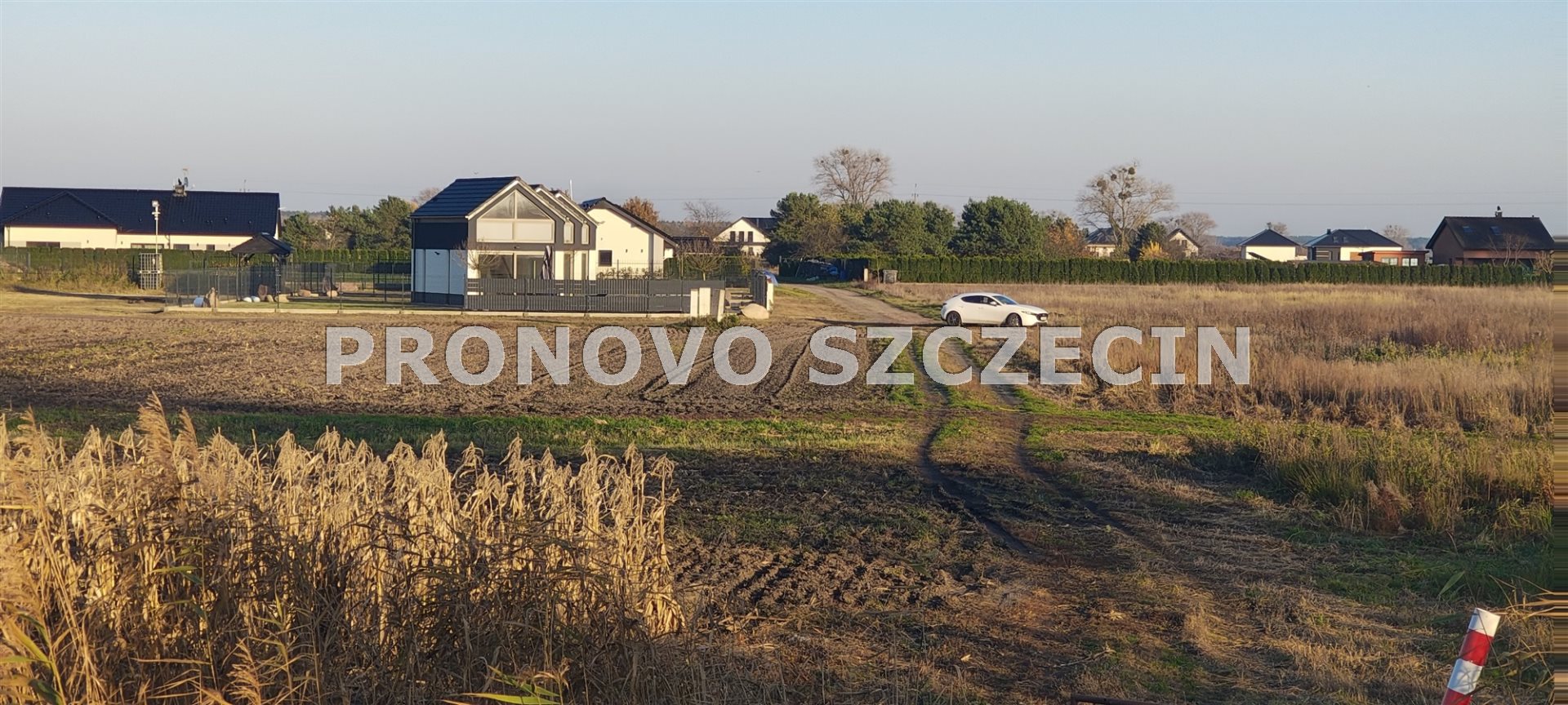 Lubczyna, działka nad Jeziorem Dąbie sprzedaż (6)