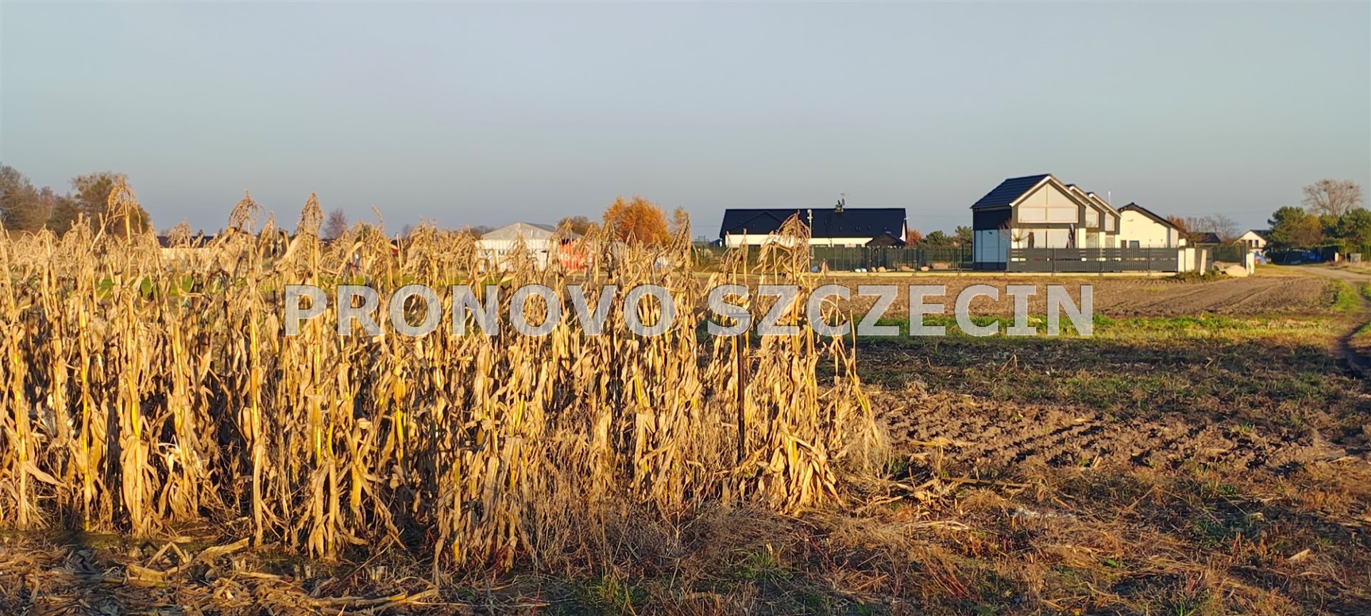 Lubczyna, działka nad Jeziorem Dąbie sprzedaż (9)