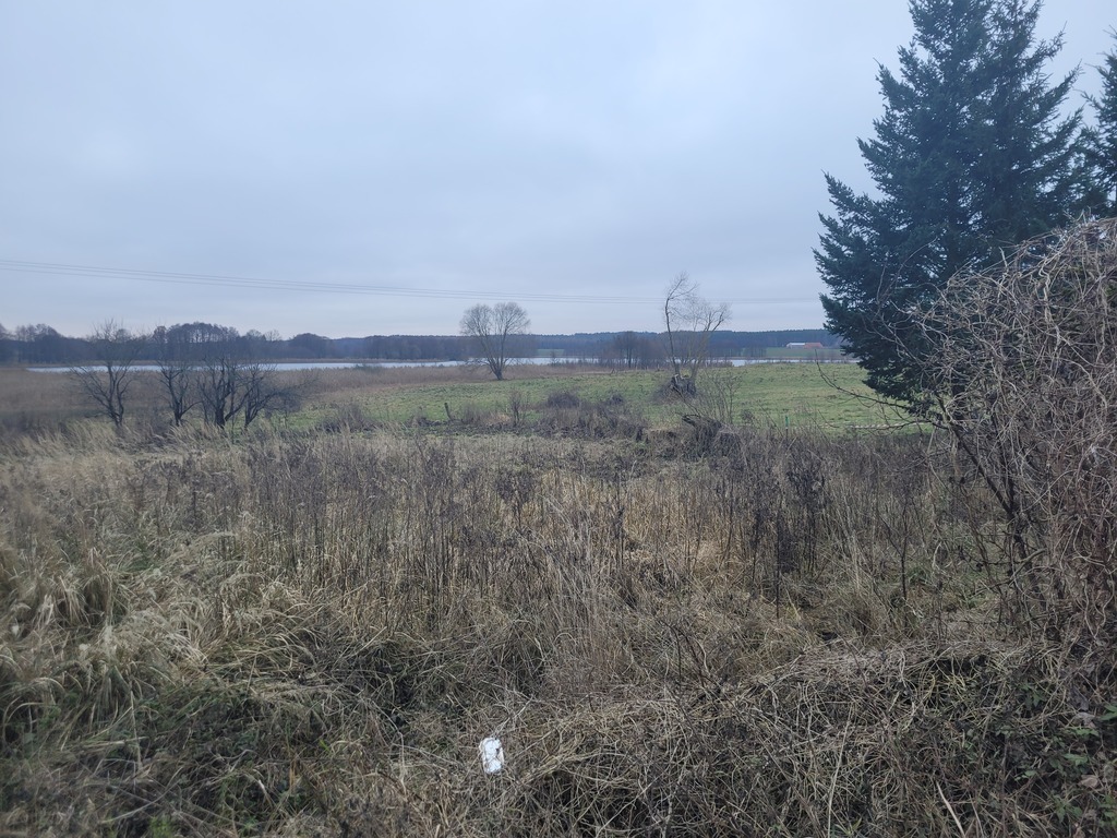 Okolice Złocieńca. DWZ Działka nad Jez. Wąsosze (19)