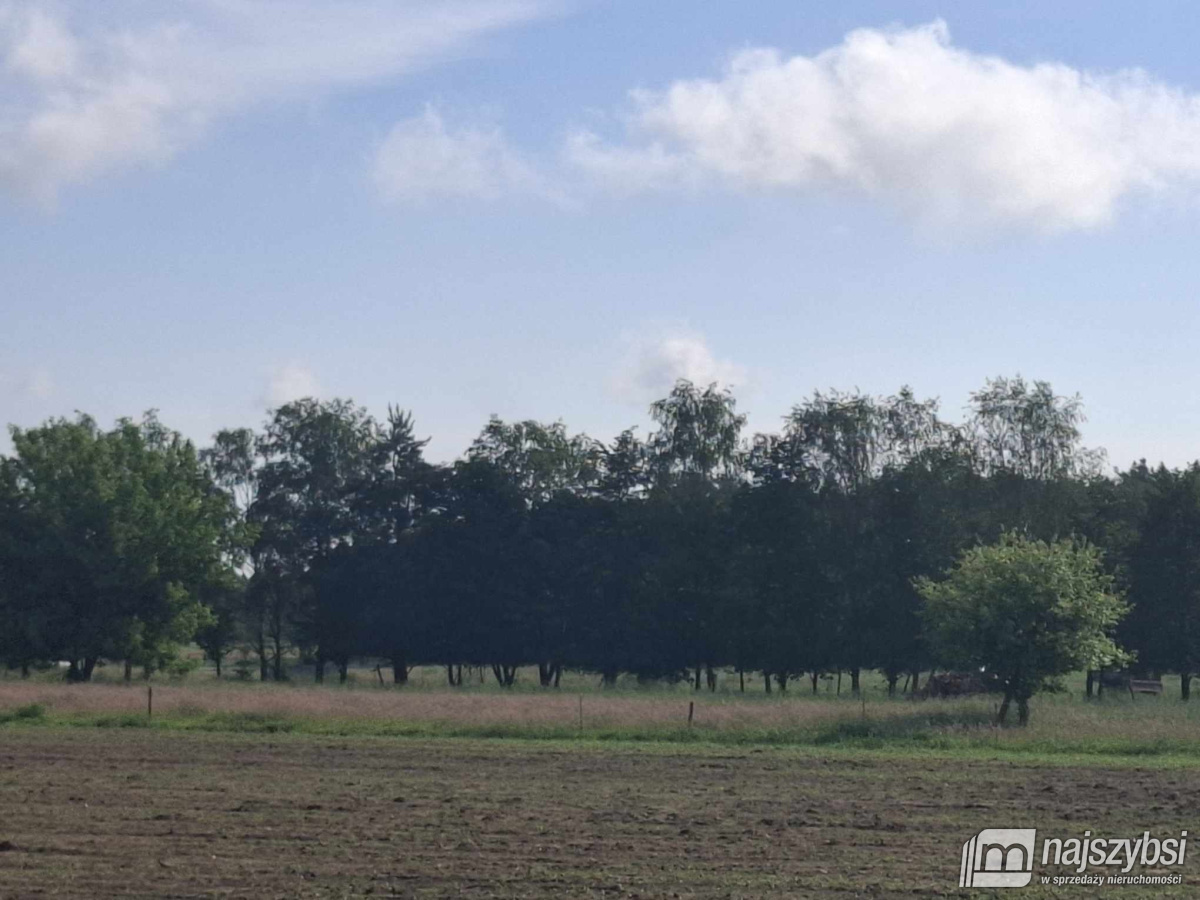 Nowogard - działka 7860m2 z dostępem do drogi publ (13)