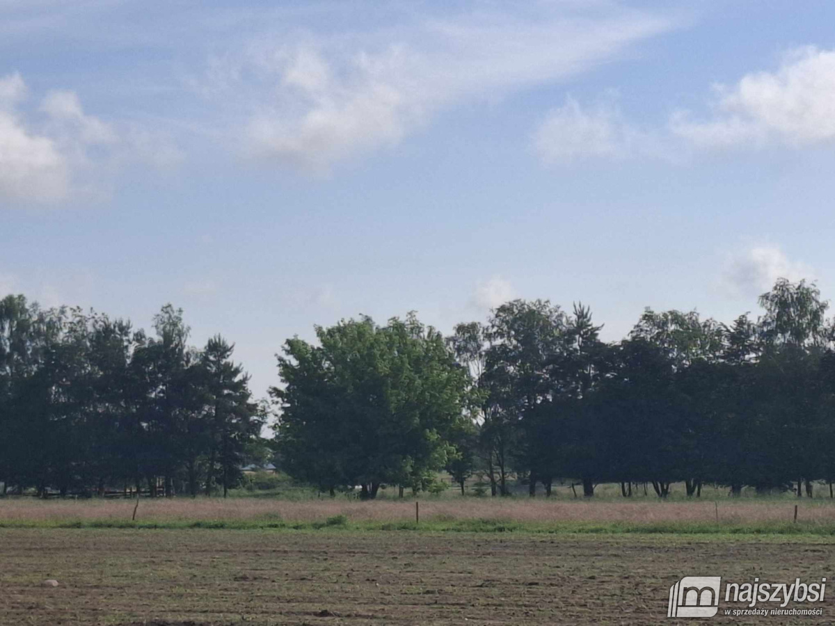 Nowogard - działka 7860m2 z dostępem do drogi publ (14)