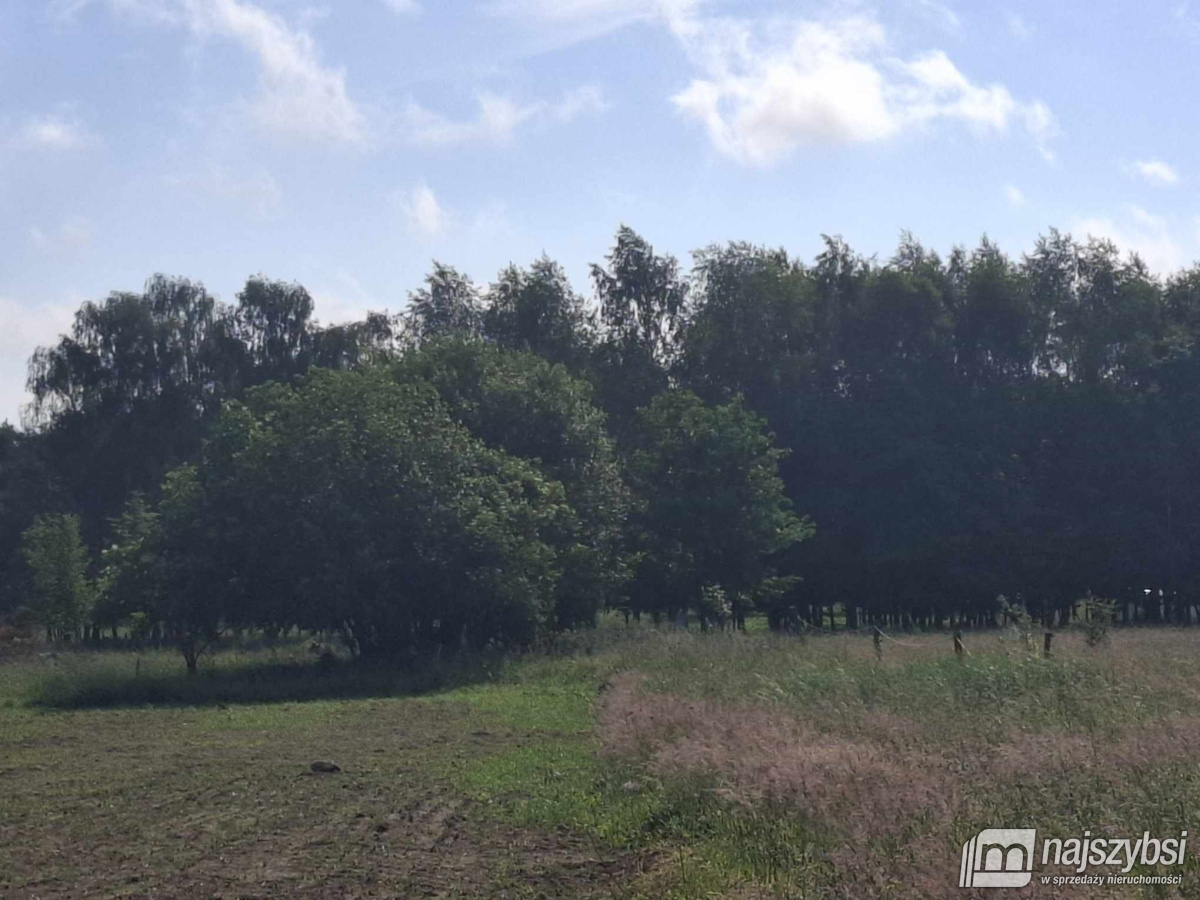 Nowogard - działka 7860m2 z dostępem do drogi publ (15)