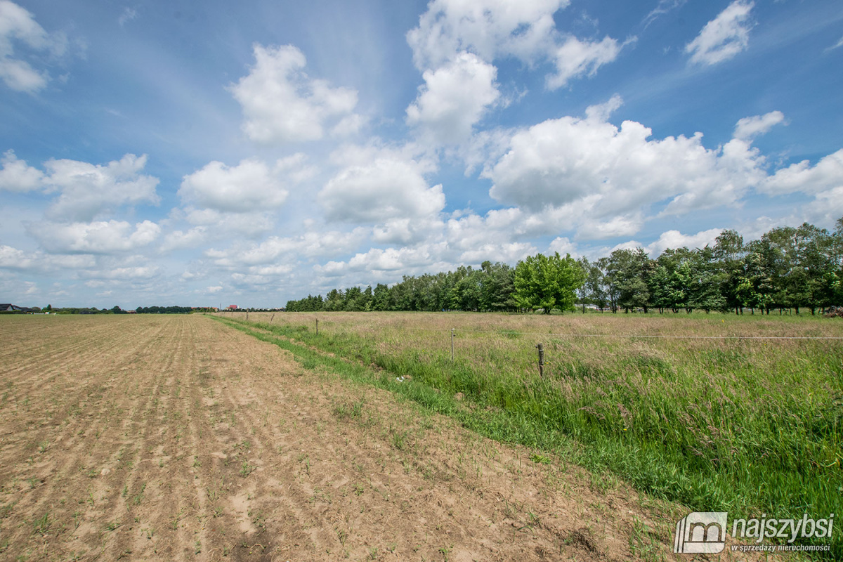 Nowogard - działka 7860m2 z dostępem do drogi publ (3)