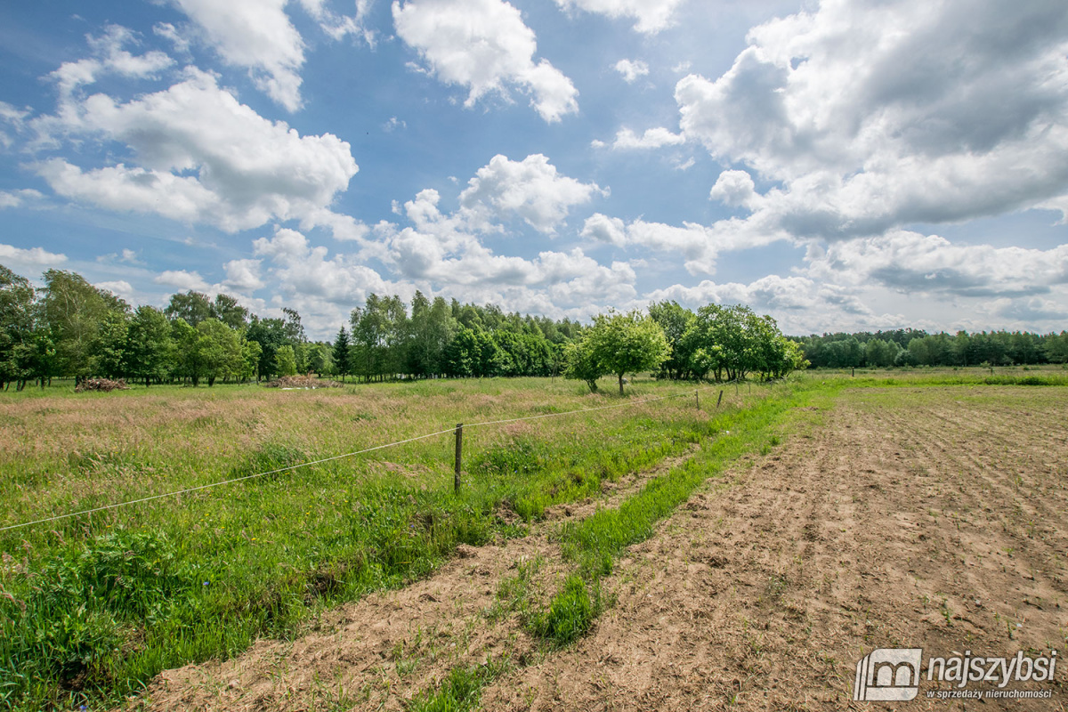 Nowogard - działka 7860m2 z dostępem do drogi publ (4)