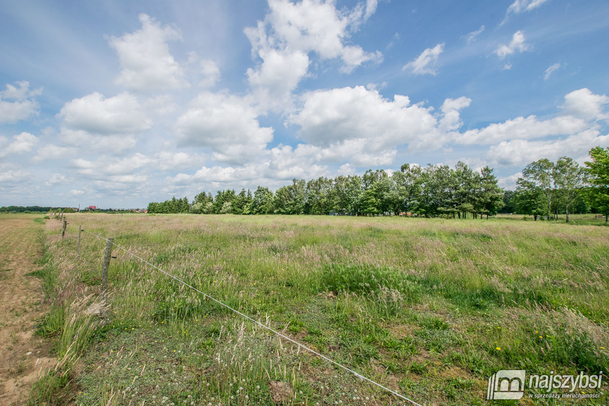 Nowogard - działka 7860m2 z dostępem do drogi publ (7)