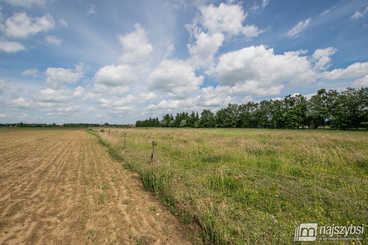 Nowogard - działka 7860m2 z dostępem do drogi publ (9)