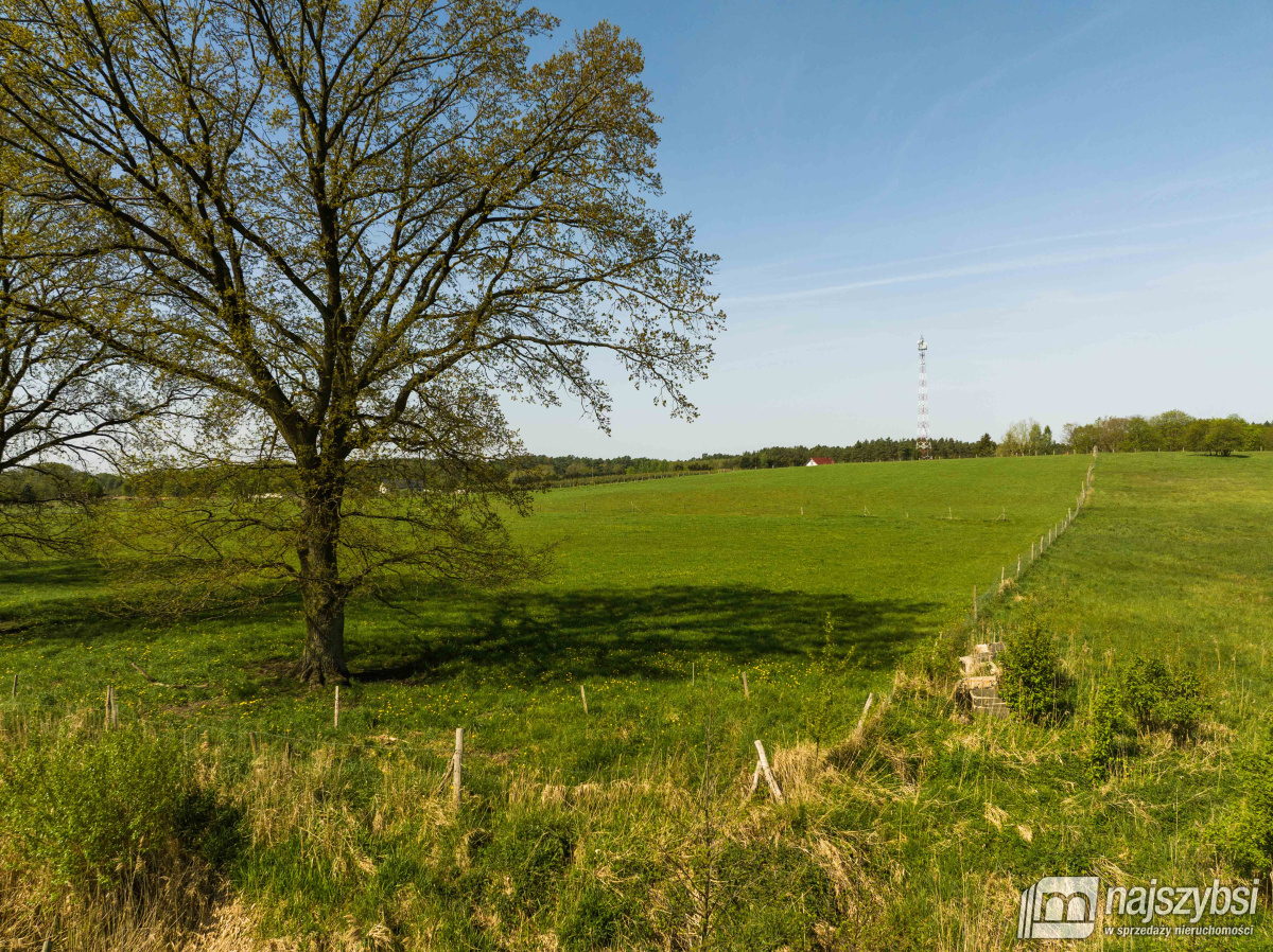 Przybiernów- działka rolna - 4557 m2 (2)