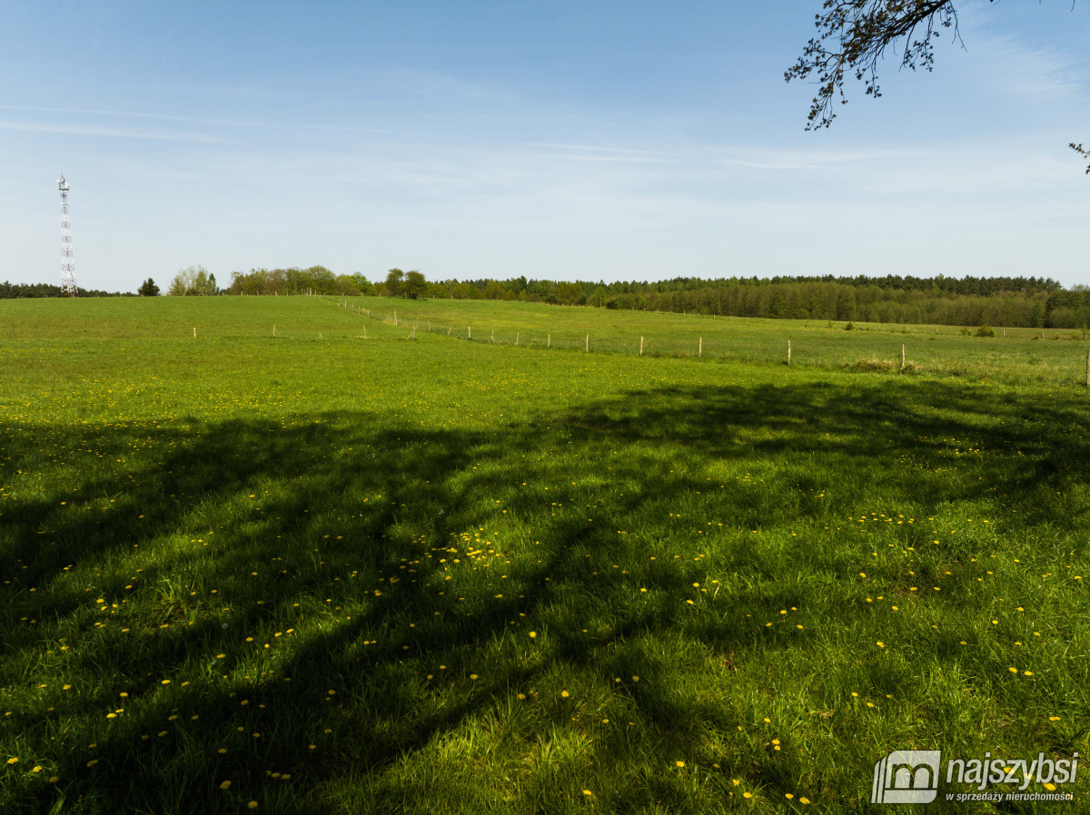 Przybiernów- działka rolna - 4557 m2 (3)