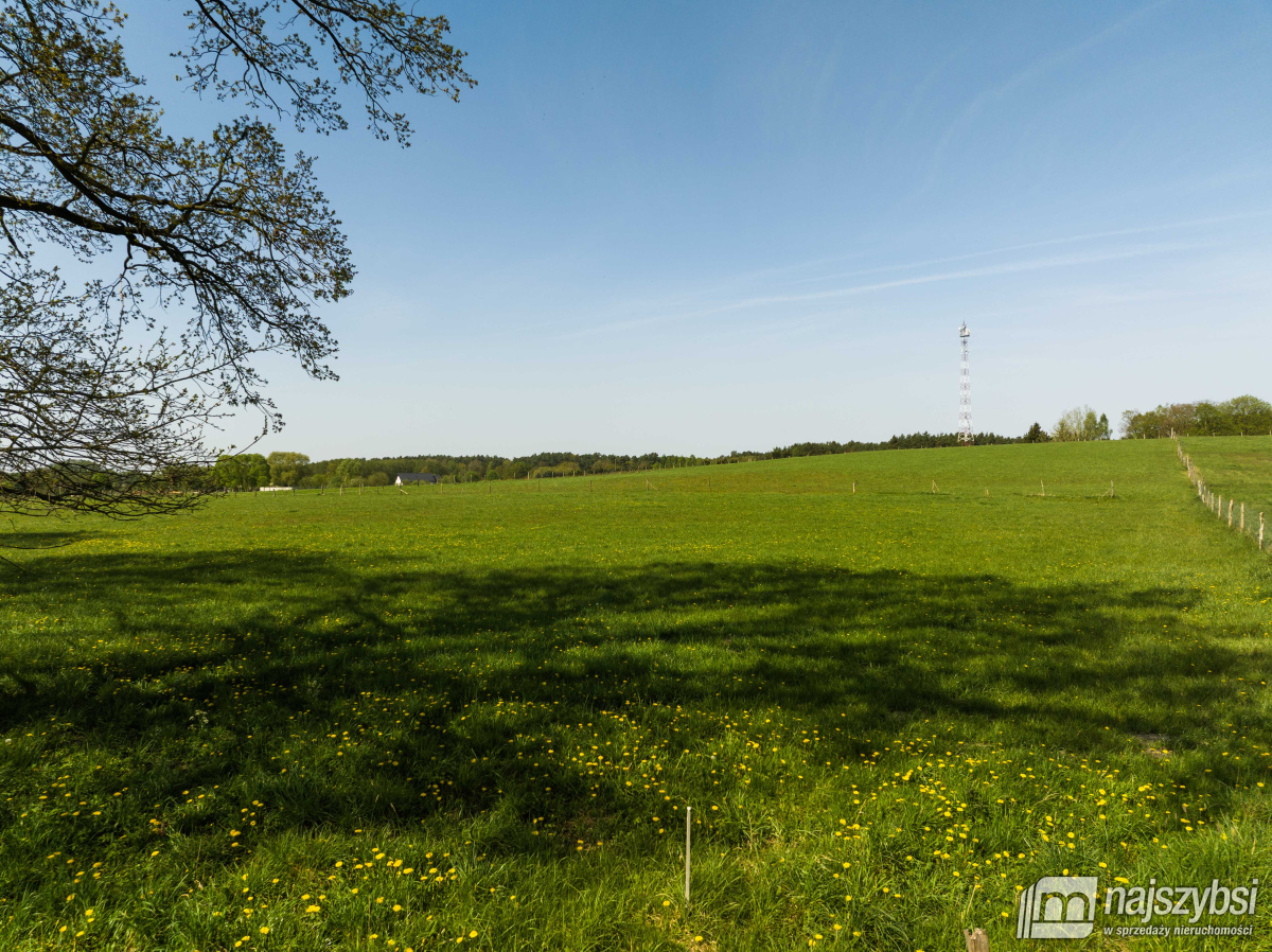 Przybiernów- działka rolna - 4557 m2 (4)