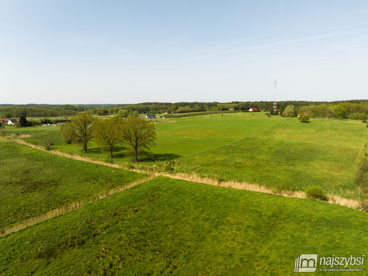 Przybiernów- działka rolna - 4557 m2 (6)