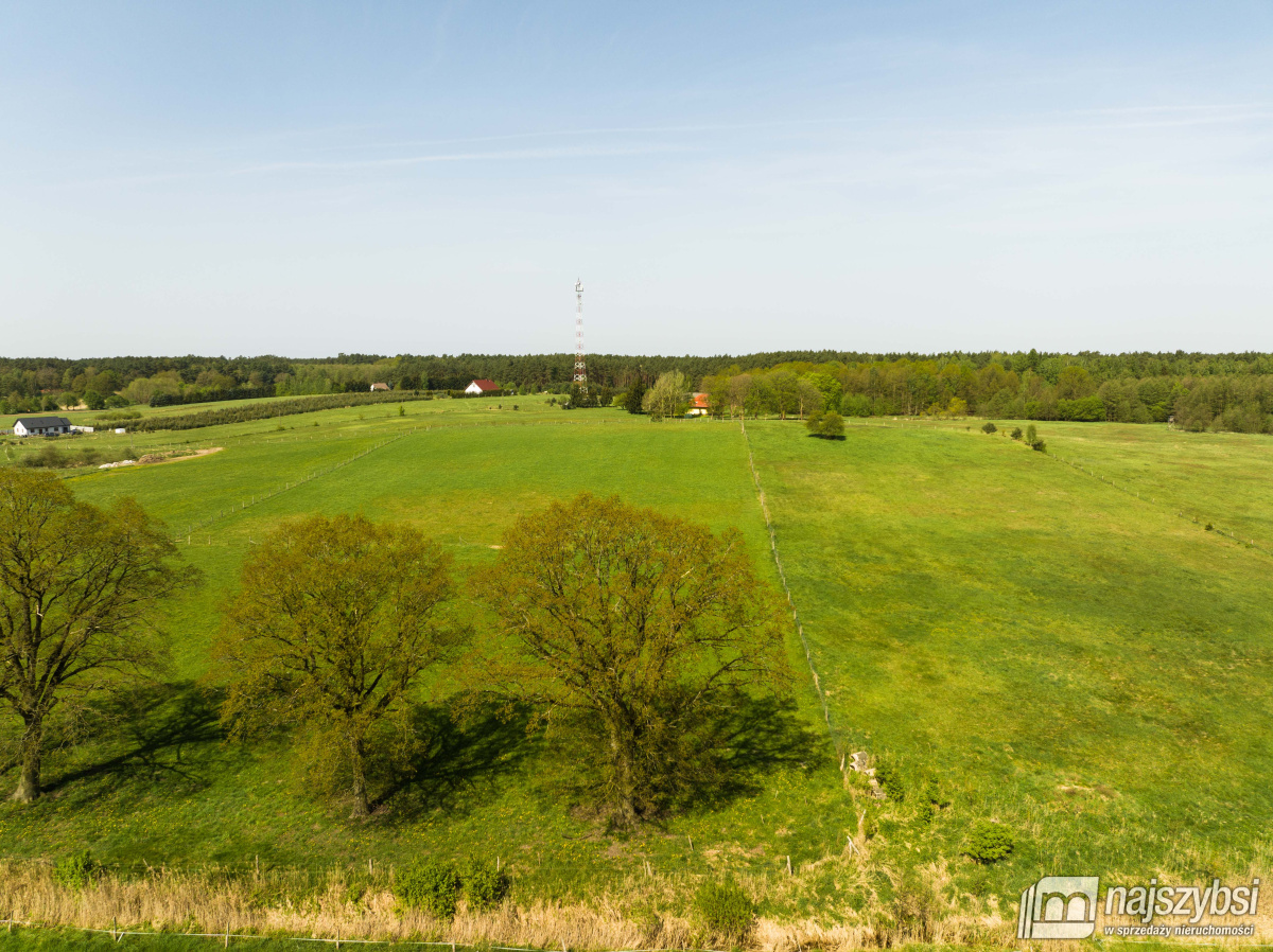 Przybiernów- działka rolna - 4557 m2 (7)