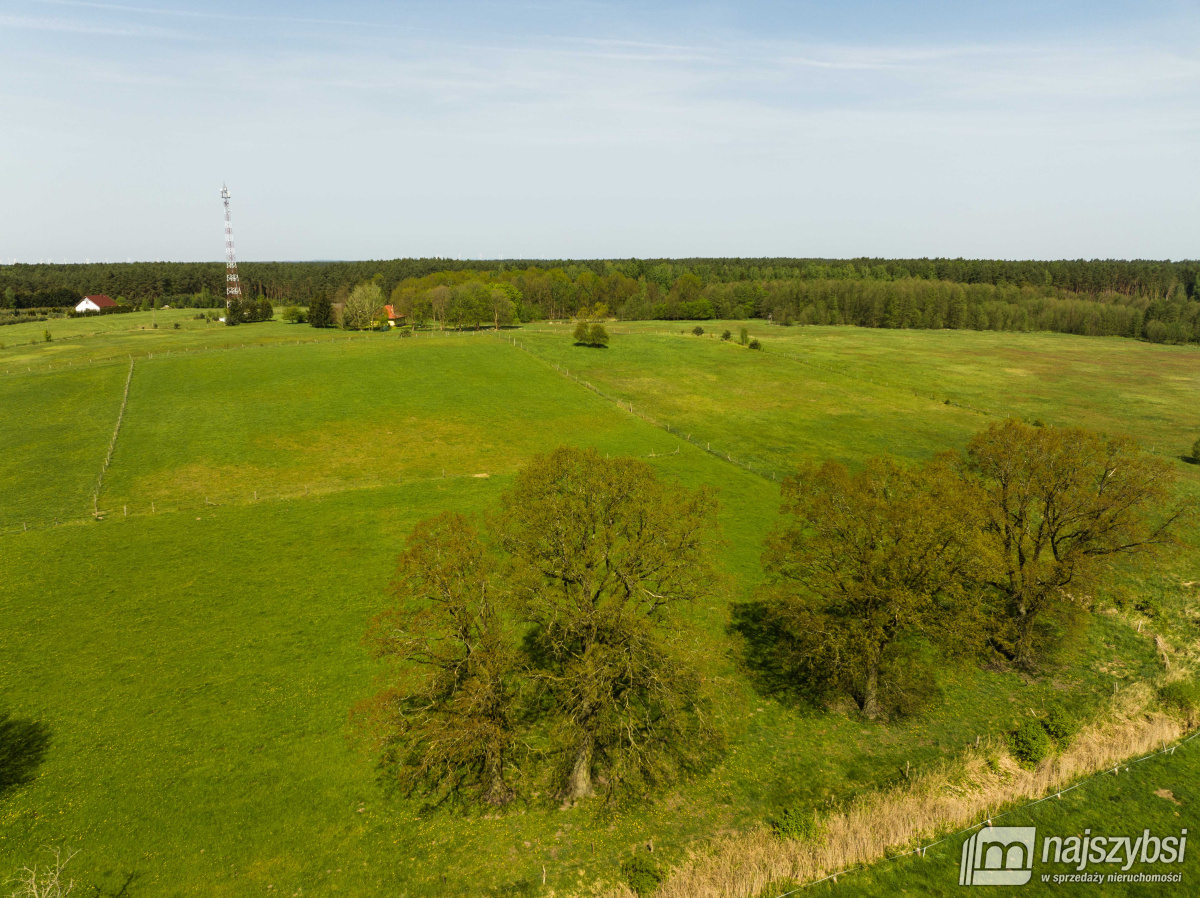 Przybiernów- działka rolna - 4557 m2 (8)