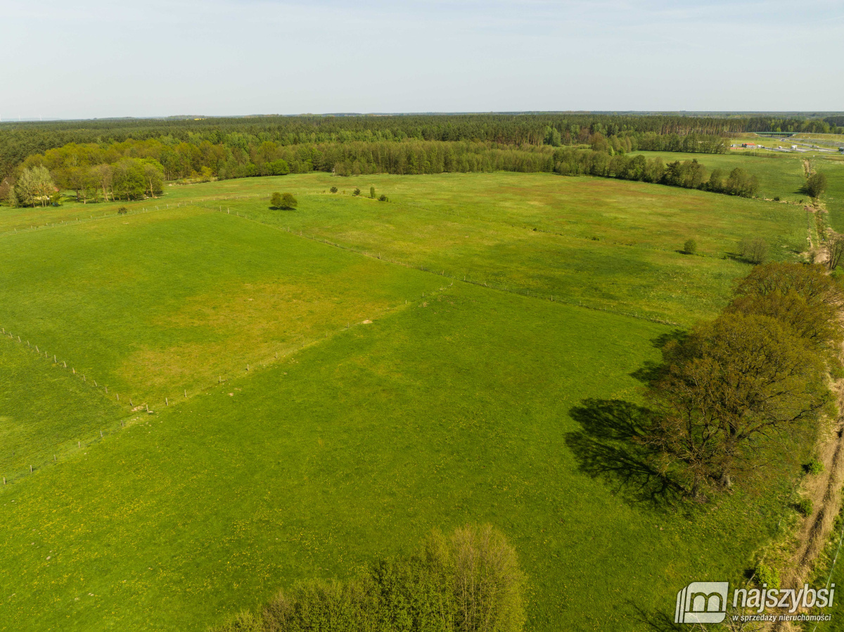 Przybiernów- działka rolna - 4557 m2 (9)