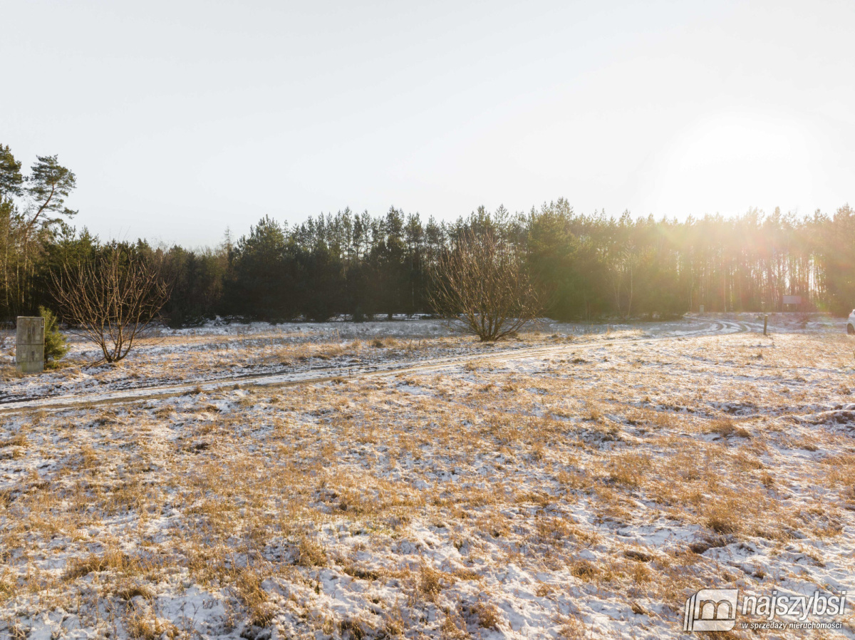 Stepnica/Miłowo - nieruchomość gruntowa 2872 m2 (15)