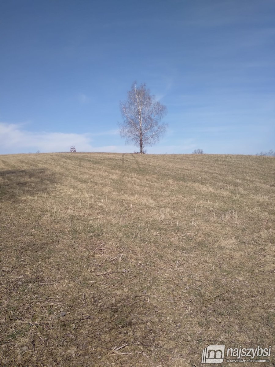 Złocieniec-Płocie  malownicza działka rolna  (2)