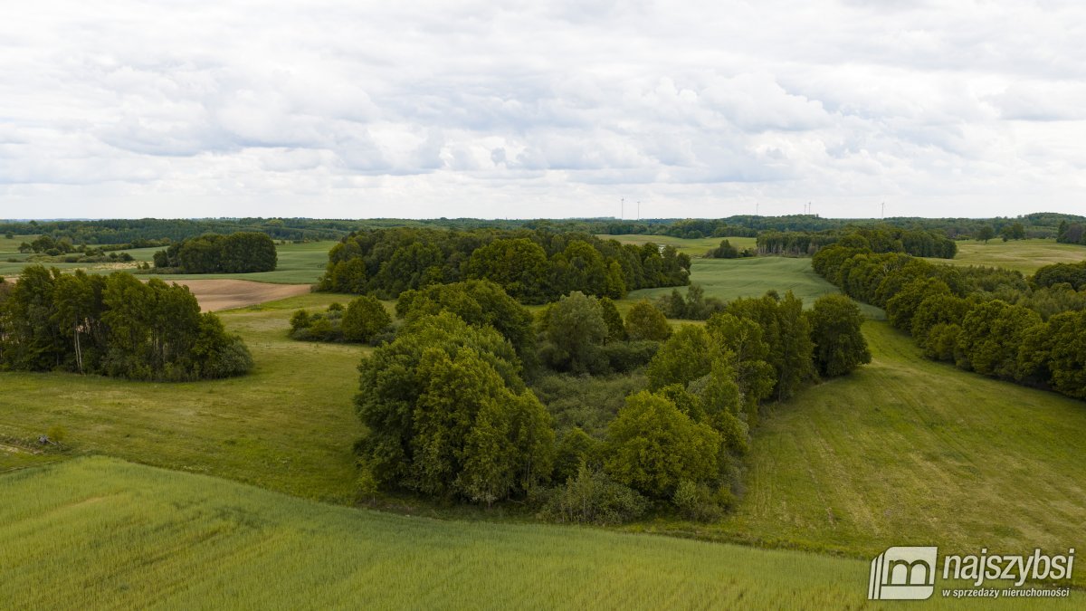 Nętno-Pojezierze Drawskie -działka rolna 6,17 Ha (13)