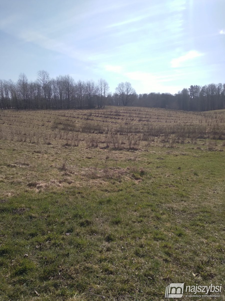 Nętno-Pojezierze Drawskie -działka rolna 6,17 Ha (4)
