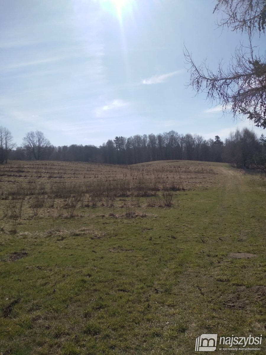 Nętno-Pojezierze Drawskie -działka rolna 6,17 Ha (6)