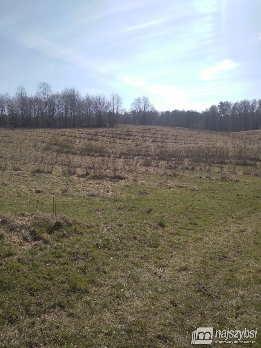 Nętno-Pojezierze Drawskie -działka rolna 6,17 Ha (7)