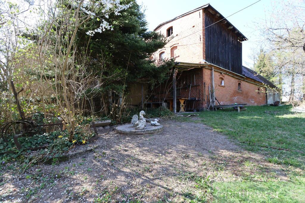 BLIŹNIAK NAD STAWEM PRZY LESIE (3)