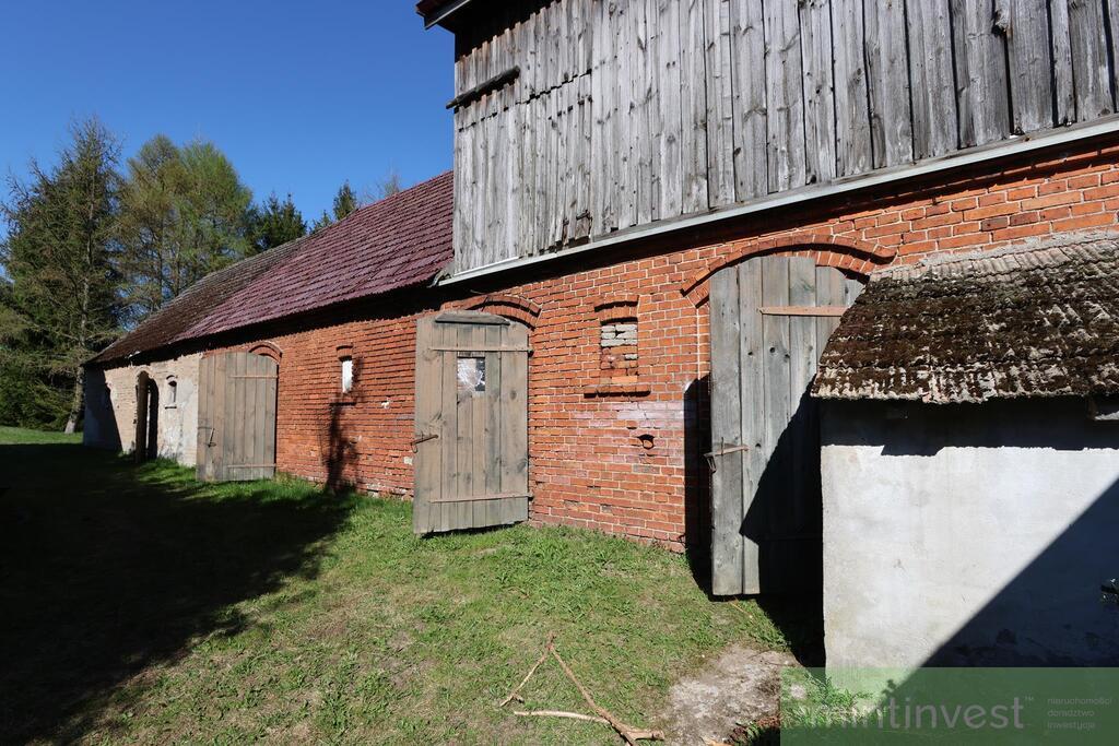 BLIŹNIAK NAD STAWEM PRZY LESIE (16)