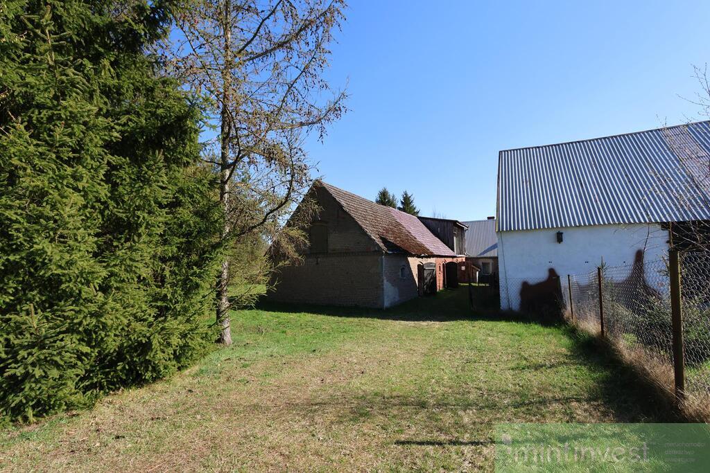 BLIŹNIAK NAD STAWEM PRZY LESIE (20)