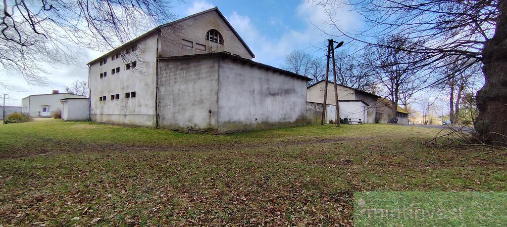 Obiekt do adaptacji - niska cena - duże możliwości (10)
