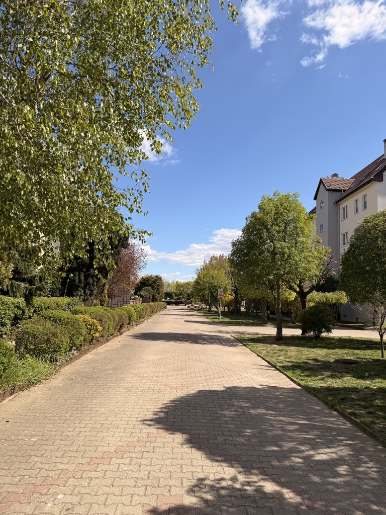 Płacisz za 55 m2, zyskujesz ponad 90 m2 Przecław (22)