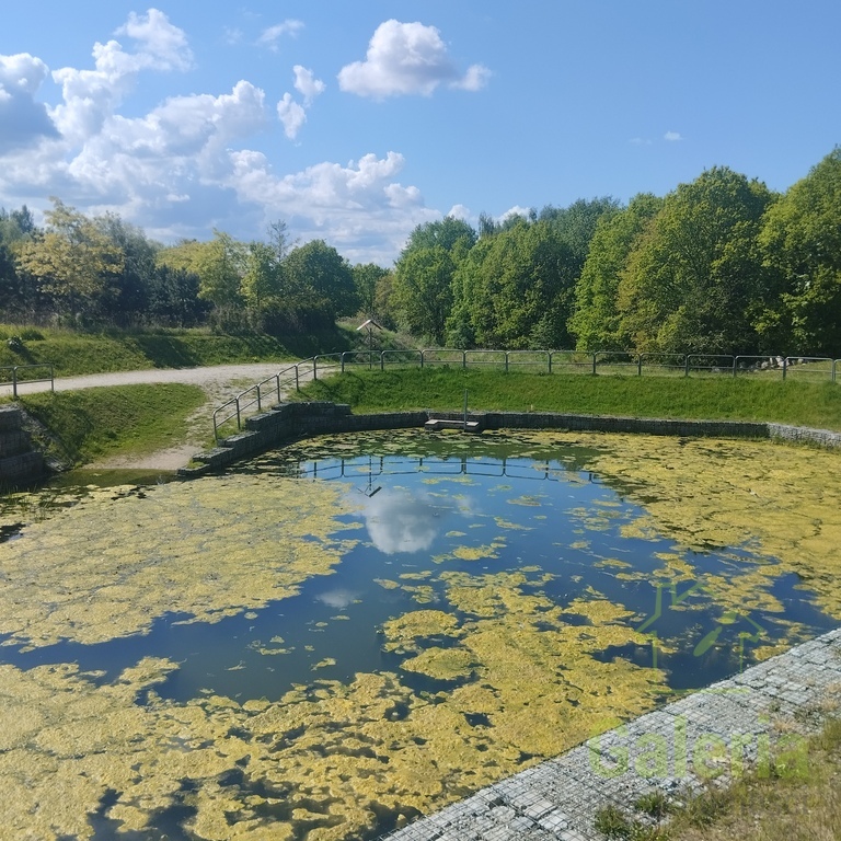 Warszewo | 3 pokoje | garaż | park | szkoła (12)