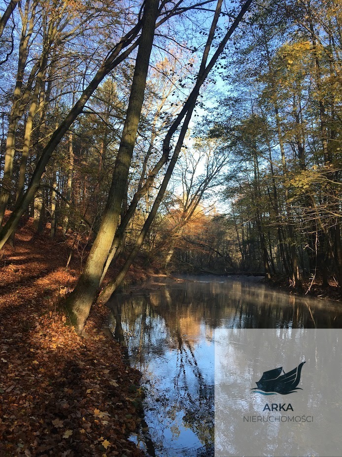 Jezierzyce/dom wolnostojący/działka 2112 m2/staw (30)