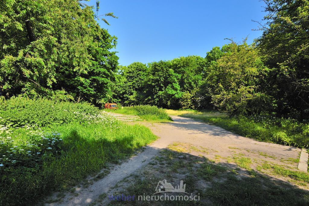 Jasne Błonia, Rusałka, Manhattan, niskie rachunki (14)