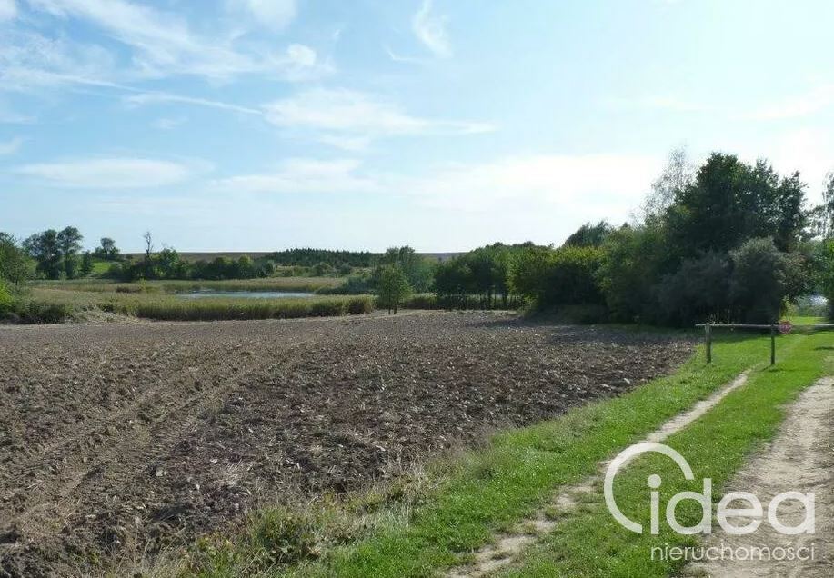 Działka rolna w Zieleniewie. (1)