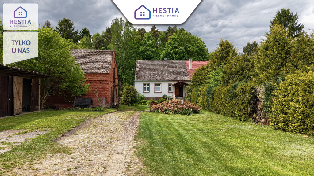 Siedlisko 1,10 ha przy lesie - dom i zabudowania (19)