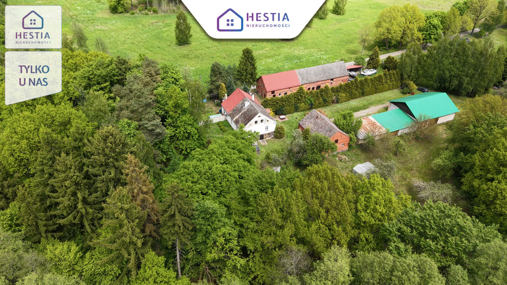 Siedlisko 1,10 ha przy lesie - dom i zabudowania (23)