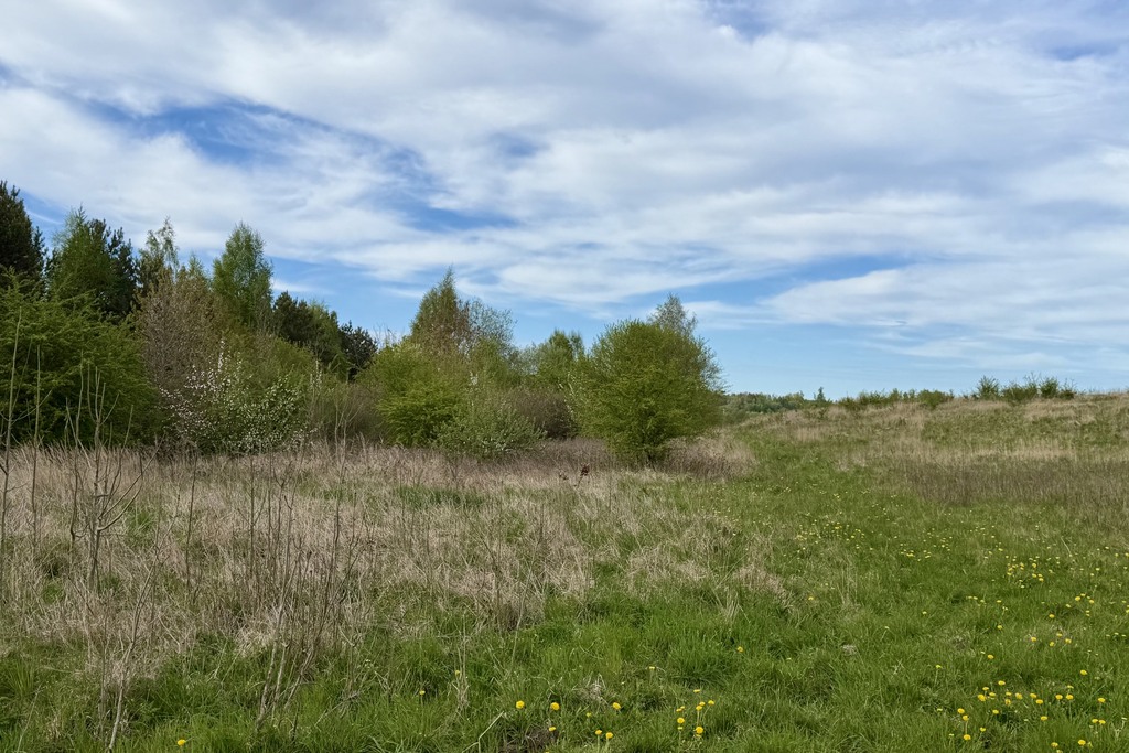 Działka inwestycyjna Stramnica, 1 km od Kołobrzegu (2)