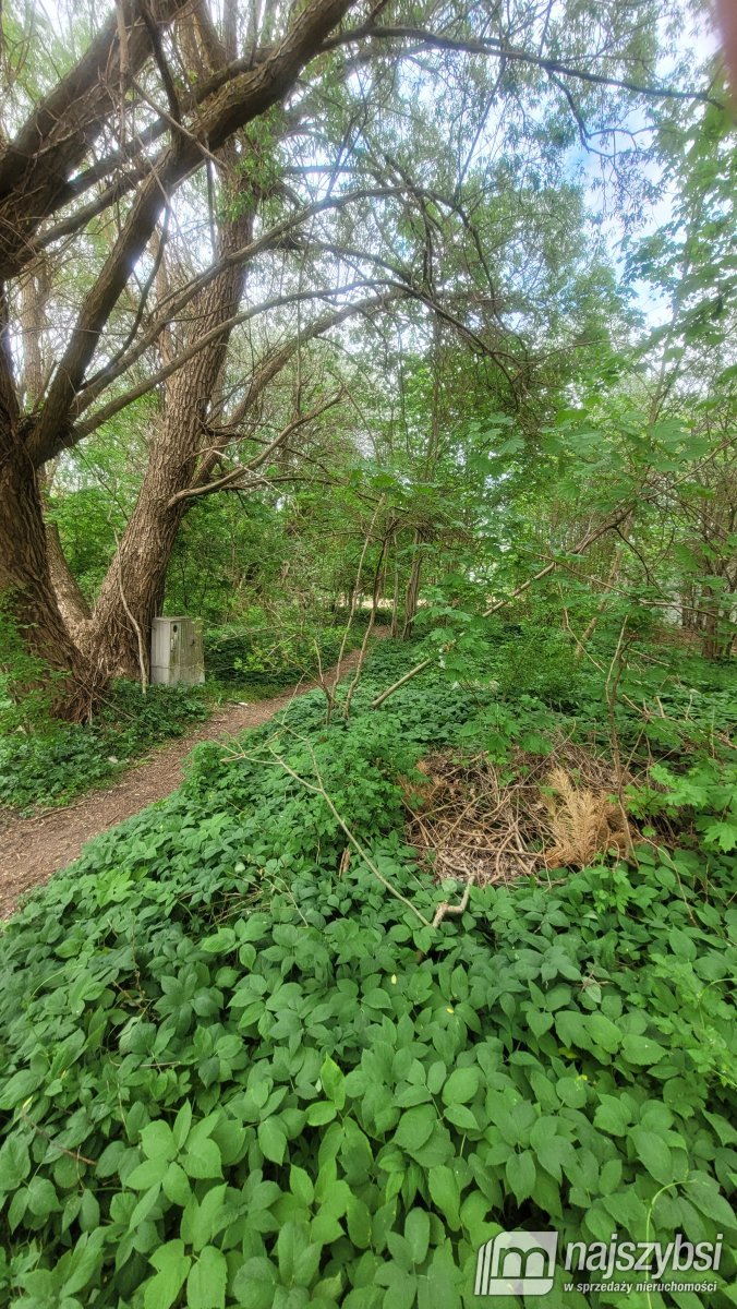 Goleniów -działka inwestycyjna ul. Konopnickiej (13)
