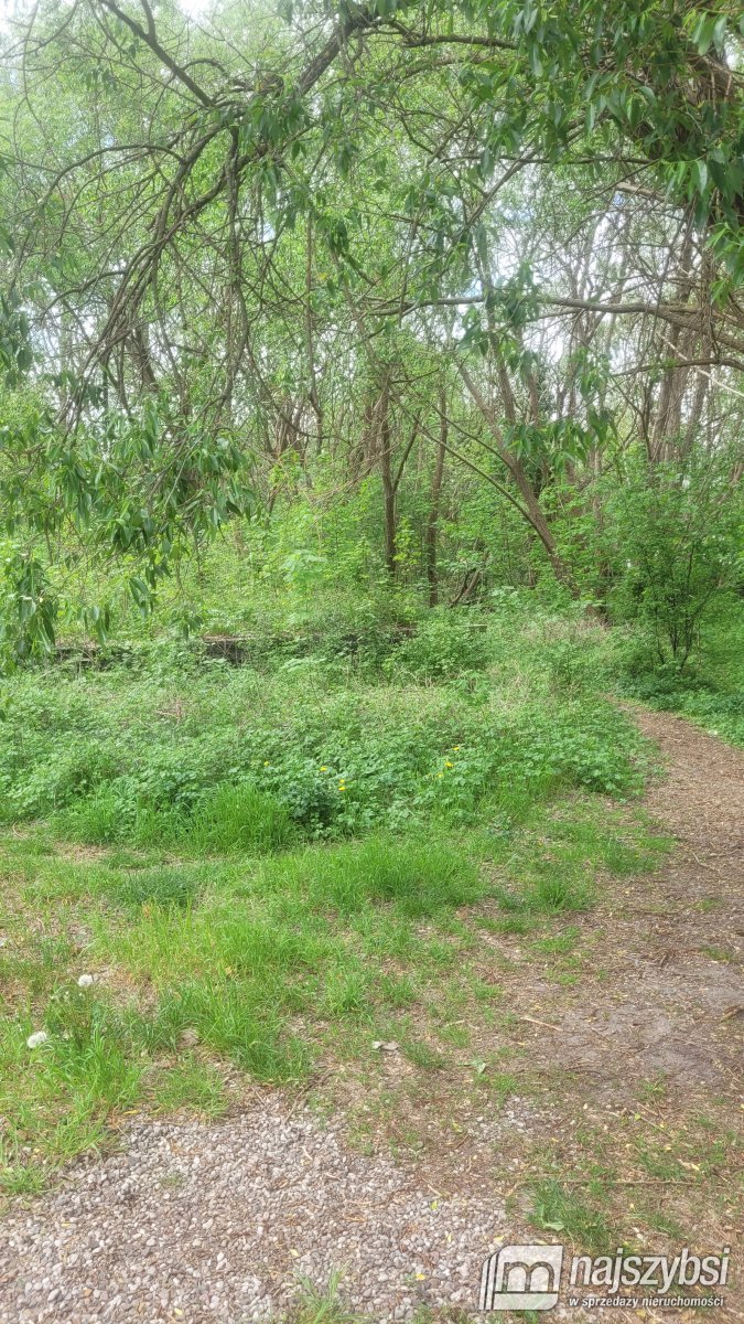 Goleniów -działka inwestycyjna ul. Konopnickiej (16)