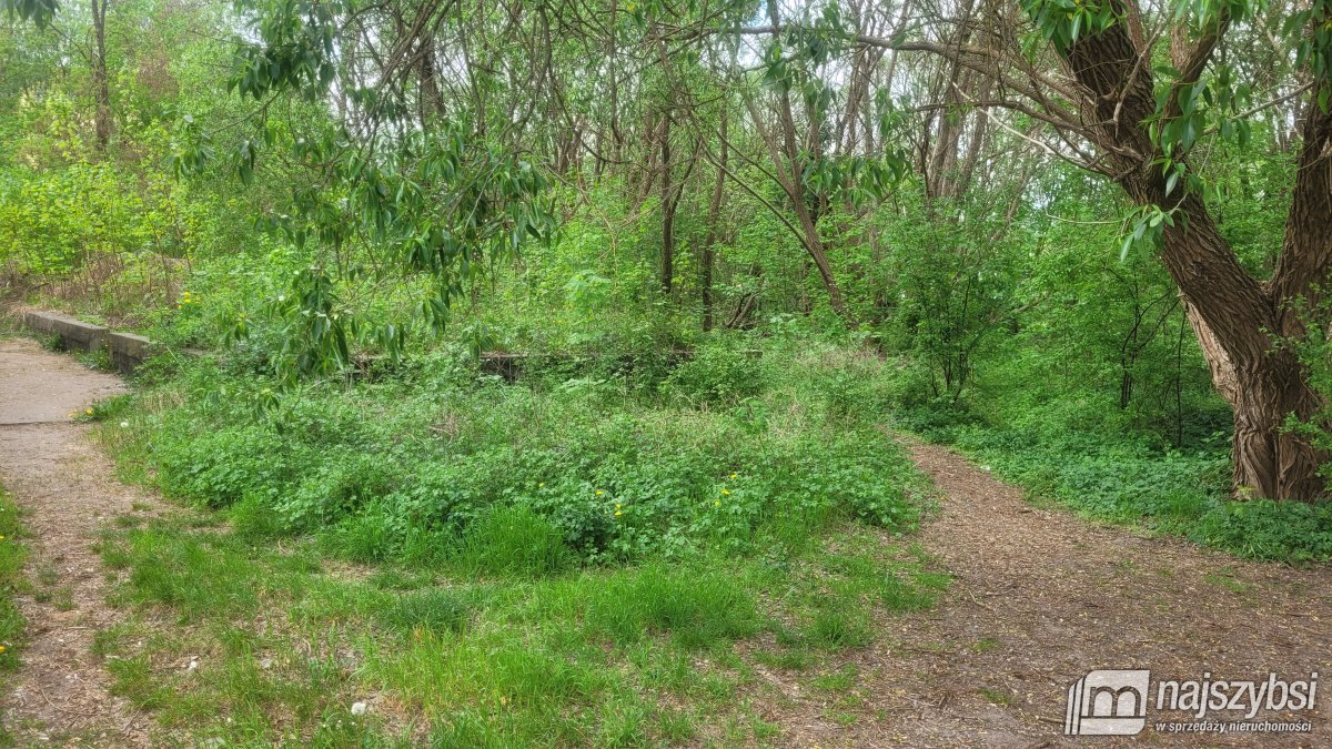 Goleniów -działka inwestycyjna ul. Konopnickiej (17)