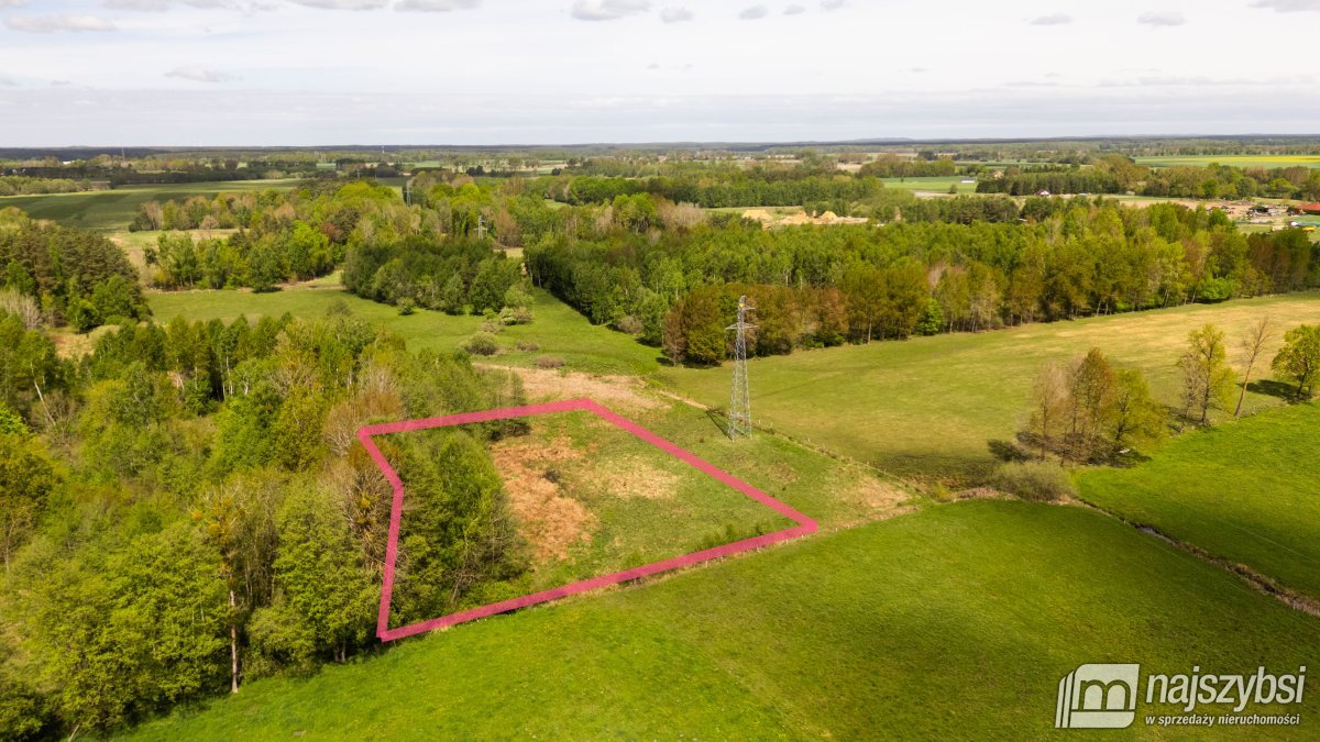 Dąbrowa Nowogardzka - łąką 9400m2 (1)