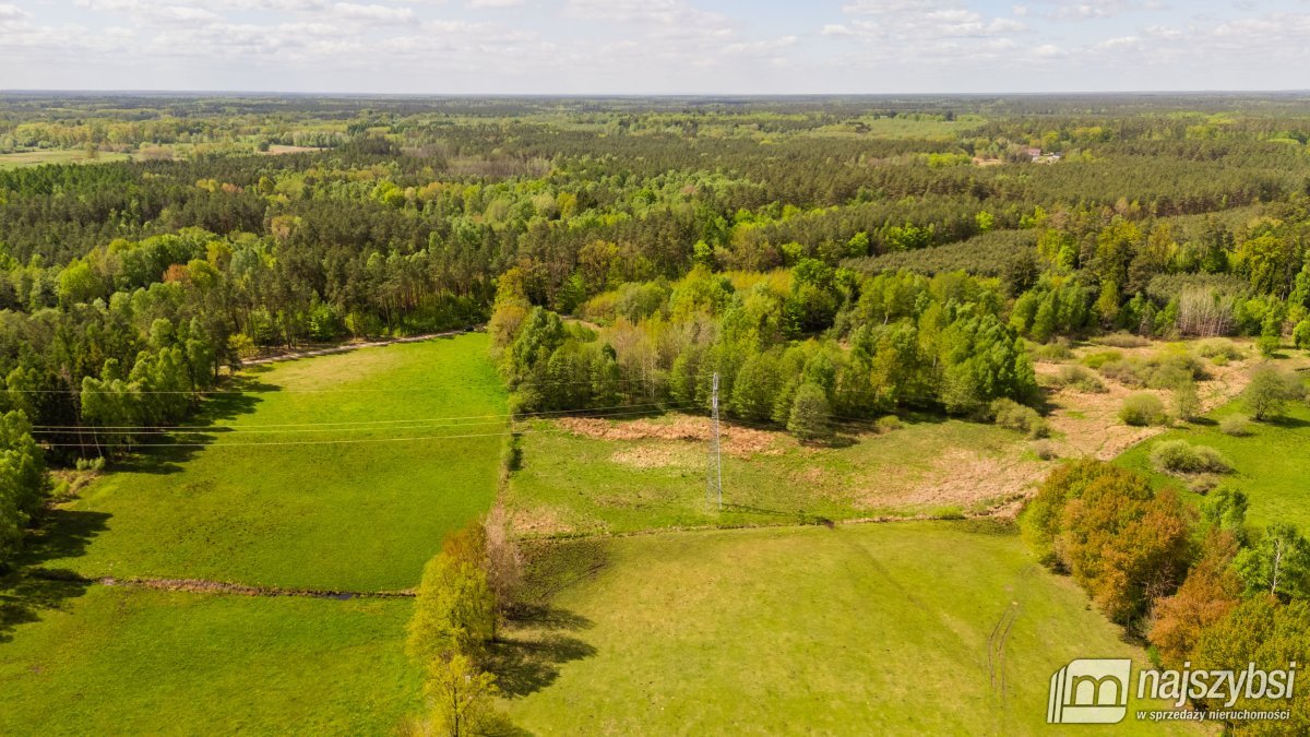 Dąbrowa Nowogardzka - łąką 9400m2 (10)
