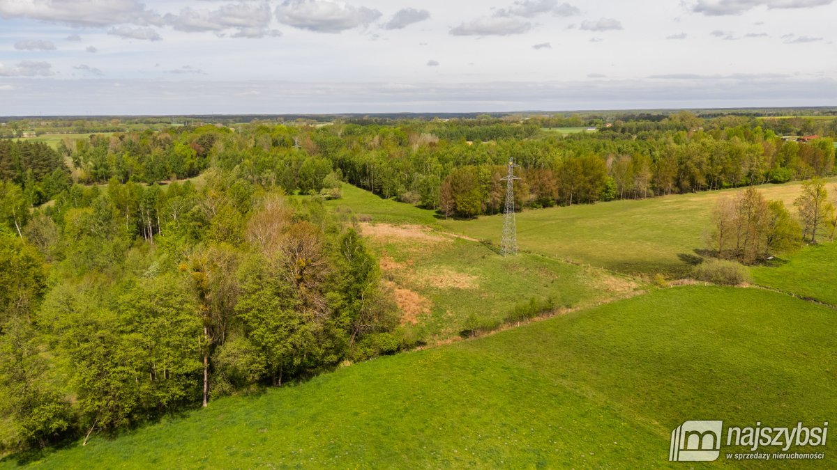 Dąbrowa Nowogardzka - łąką 9400m2 (11)