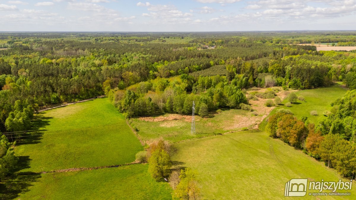 Dąbrowa Nowogardzka - łąką 9400m2 (12)