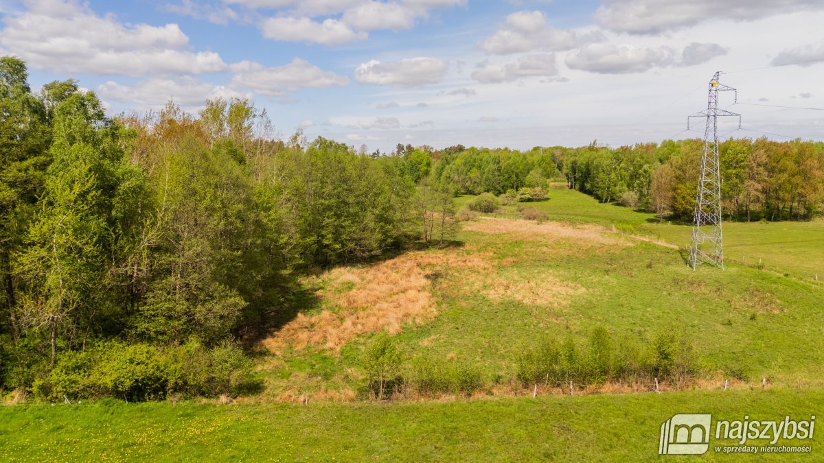 Dąbrowa Nowogardzka - łąką 9400m2 (13)