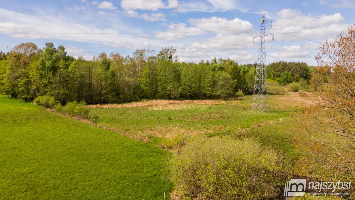 Dąbrowa Nowogardzka - łąką 9400m2 (14)